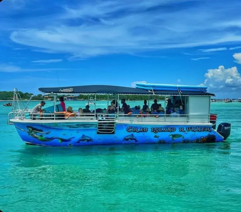 Crab Island Runner, Crab Island Tours, Watersports, Dolphin Tours,