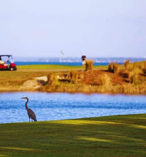 Best Scenic Golf Courses, Kelly Plantation, Destin, Golf the Emerald Coast,