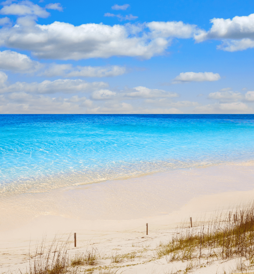 Henderson Beach State Park, Destin Florida, Best Places to Stay,