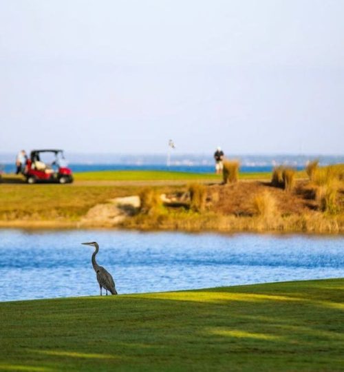 Best Courses to Play, Kelly Plantation Golf Club, Emerald Coast Golf Trail, Scenic Golfing in Florida,
