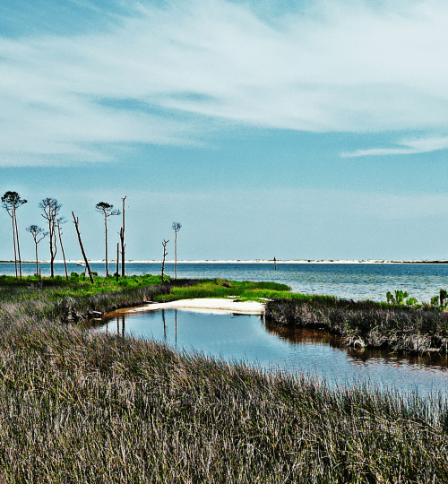 Places to Stay, Pensacola Florida, Big Lagoon State Park, Camping,