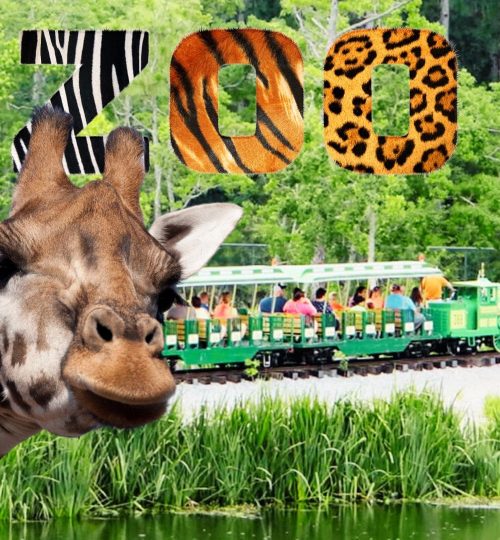 Things to Do, Attractions, Visit Gulf Breeze Zoo, Wild Life Adventures, Family Friendly Activities, Florida,