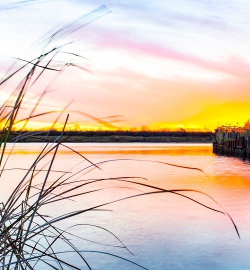 Things to Do,Panama City Beach Florida,Explore Bays & Bayous on The Emereald Coast