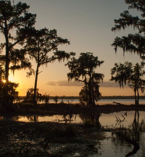 Things to Do,Panama City Beach Florida,Exploring Bayous,