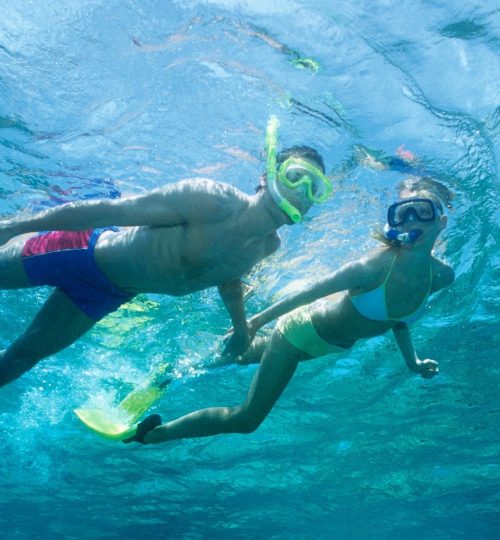 Things to Do,Panama City Beach Florida,Snorkeling, Shell Island,Visit Florida,